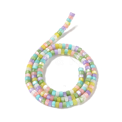 Natural Trochid Shell/Trochus Shell Beads Strands BSHE-H018-04-1