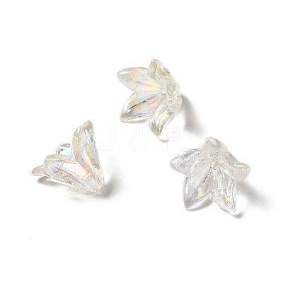 Transparent Acrylic Bead Caps X-OACR-H016-05A-1