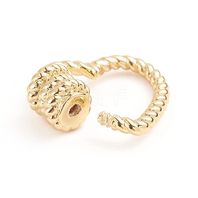 Brass Screw Carabiner Lock Charms X-ZIRC-E164-13G-1