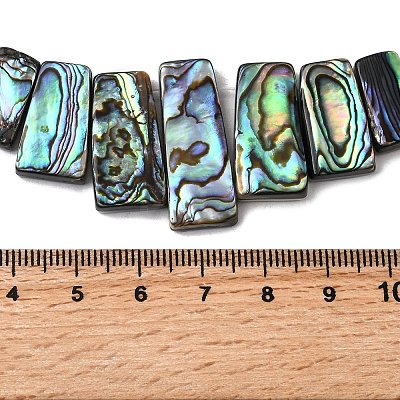 Natural Paua Shell Beads Strands BSHE-S305-01A-1