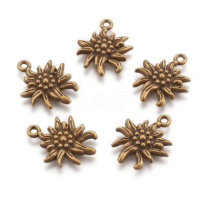 Tibetan Style Alloy Pendants TIBEP-A113357-AB-FF-1