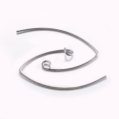 Brass Earring Hooks LS-KK-K197-60P-1