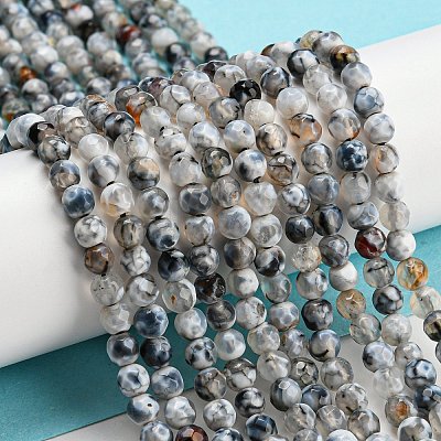 Dyed Natural Fire Crackle Agate Beads Strands G-G007-01F-1