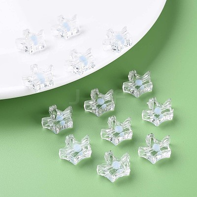 Transparent Acrylic Beads LS-MACR-S373-105-B08-1