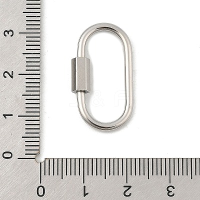 Non-Tarnish 304 Stainless Steel Screw Carabiner Lock Charms LS-STAS-H107-04D-P-1