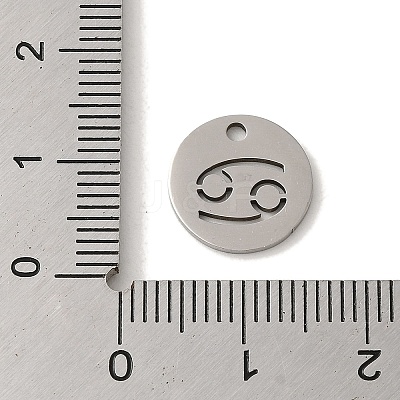 Non-Tarnish 201 Stainless Steel Charms STAS-E217-10P-05-1