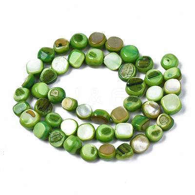 Natural Trochid Shell/Trochus Shell Beads Strands SHEL-S258-083-B05-1