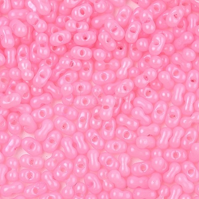 Baking Paint Glass Seed Beads SEED-L011-09A-27-1