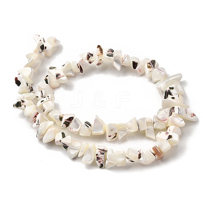 Natural Trochid Shell/Trochus Shell Beads Strands SHEL-B003-02J-1