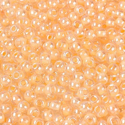 FGB Glass Seed Beads SEED-Q040-08A-06-1