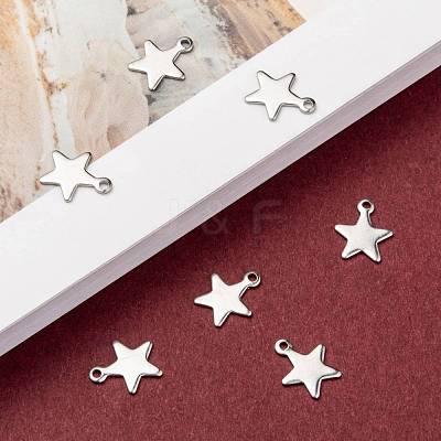 Tarnish Resistant 304 Stainless Steel Charms STAS-G190-27P-B-1