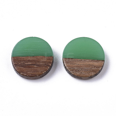 Resin & Wood Cabochons X-RESI-S358-70-H15-1