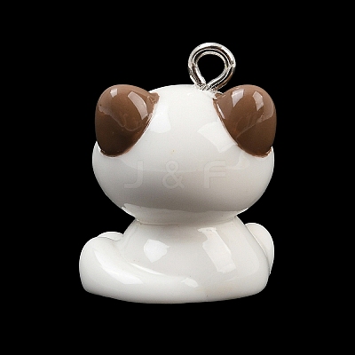 Opaque Resin Pendants RE-CBA19D0-03D-1