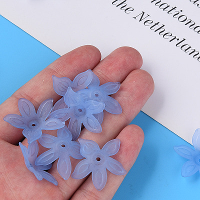 Transparent Acrylic Beads MACR-S373-127-D04-1