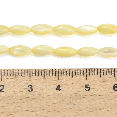Natural Freshwater Shell Beads Strands SHEL-C010-01B-1
