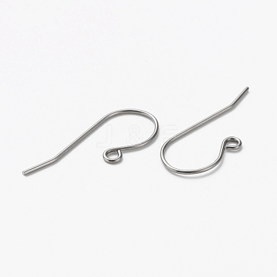 Tarnish Resistant 304 Stainless Steel Earring Hooks STAS-L253-004P-1