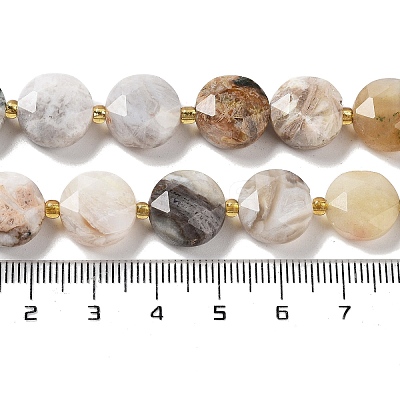 Natural Crazy Lace Agate Beads Strands G-NH0004-032-1