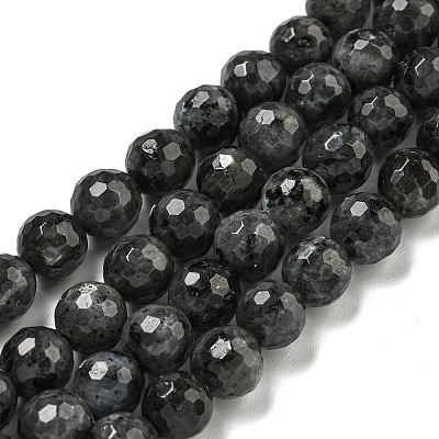 Natural Larvikite Beads Strands G-E571-A09-02-1