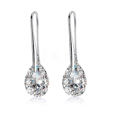 Platinum Tone Stainless Steel Dangle Earrings EJEW-EE0002-06A-1
