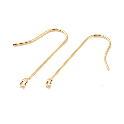 316 Surgical Stainless Steel Earring Hooks X-STAS-E027-01B-G-1