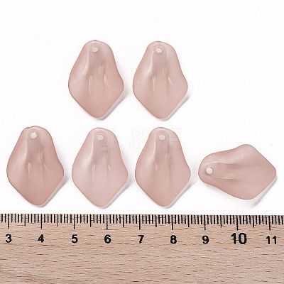 Transparent Frosted Acrylic Pendants MACR-S371-03A-763-1