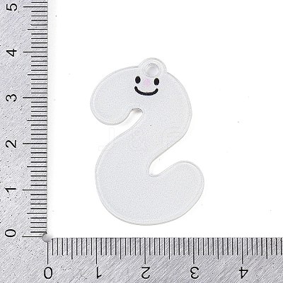 Acrylic Pendants LS-MACR-R002-01S-1