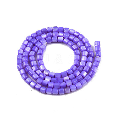 Natural Freshwater Shell Beads Strands SHEL-N003-33-A02-1