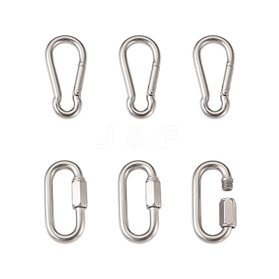 6Pcs 2 Style 304 Stainless Steel Rock Climbing Carabiners STAS-TA0001-33P-1