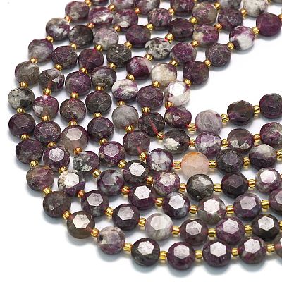 Natural Plum Blossom Tourmaline Beads Strands G-C116-A156-01-1