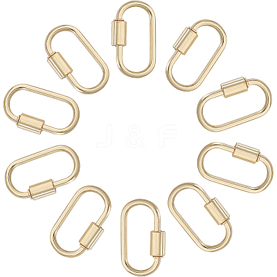 10Pcs Alloy Screw Carabiner Lock Charms FIND-DC0008-32G-1
