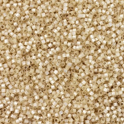 MIYUKI Delica Beads SEED-JP0008-DB0621-1