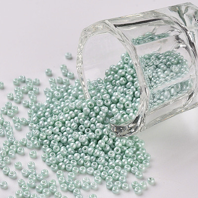 11/0 FGB Grade A Baking Paint Glass Seed Beads X-SEED-N001-A-1031-1