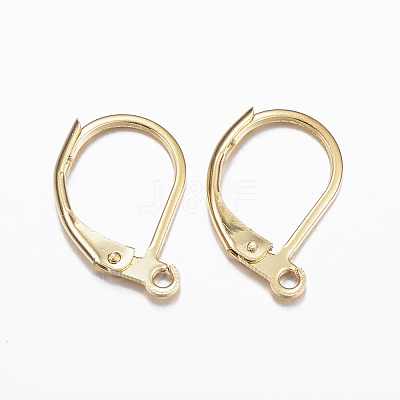 304 Stainless Steel Leverback Earring Findings STAS-E147-53G-1
