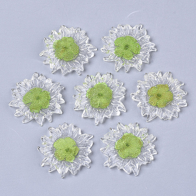 Transparent Clear Epoxy Resin Cabochons CRES-N025-02C-1