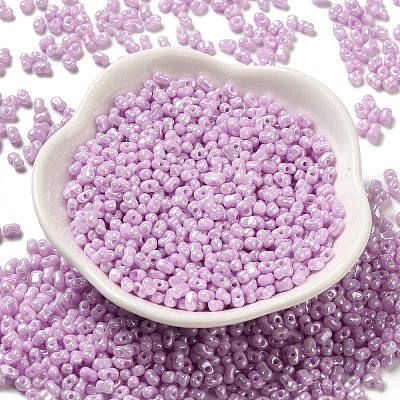 Glass Seed Beads SEED-K009-02A-06-1