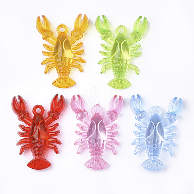 Transparent Acrylic Pendants X-TACR-S149-02-1