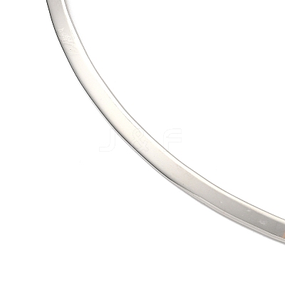Tarnish Resistant 304 Stainless Steel Choker Necklaces NJEW-O094-38-1