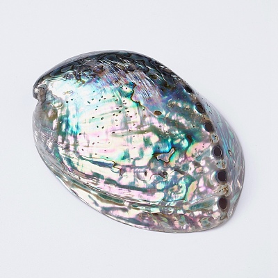 Natural Abalone Shell/Paua ShellDecoration SSHEL-K024-01B-1