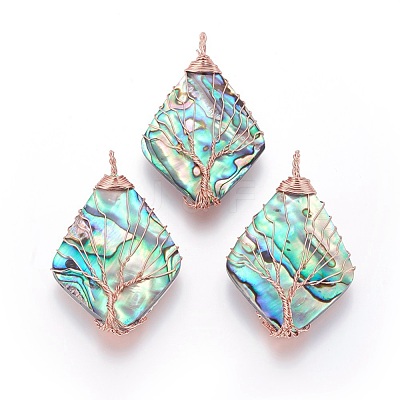 Abalone Shell/Paua ShellWire Wrapped Big Pendants SSHEL-L008-65RG-1