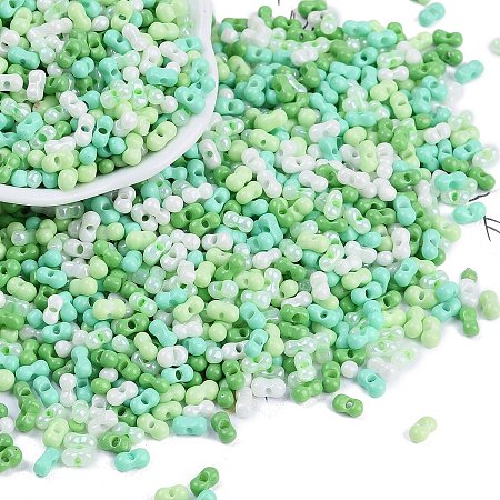 Glass Seed Beads SEED-K010-03H-1