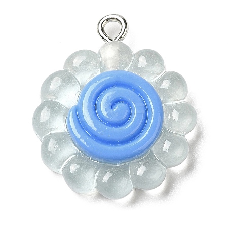 Translucent Resin Pendants RESI-L038-02P-04-1