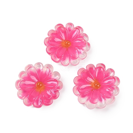 Flower Series Resin Cabochons CRES-Q008-01A-1