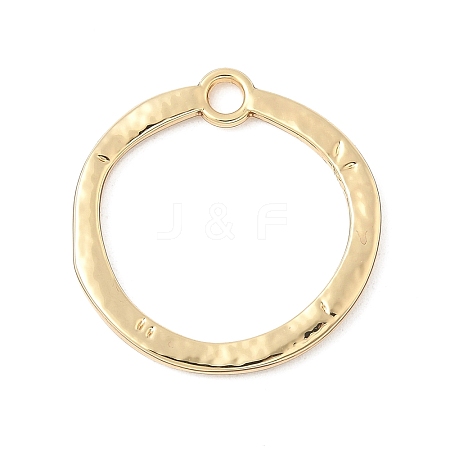 Alloy Pendants PALLOY-F316-01A-G-1
