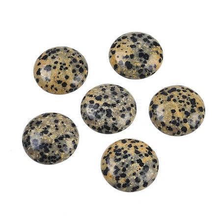 Natural Dalmatian Jasper Cabochons G-H1596-FR-25mm-07-1