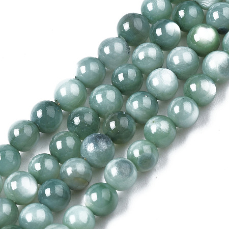 Natural Freshwater Shell Beads Strands BSHE-T009A-01J-1