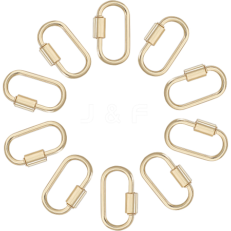 10Pcs Alloy Screw Carabiner Lock Charms FIND-DC0008-32G-1