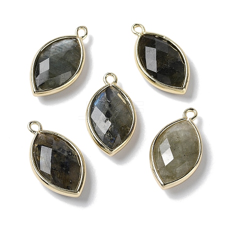 Natural Labradorite Pendants G-B009-01G-R-1