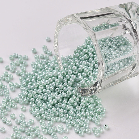 11/0 Grade A Baking Paint Glass Seed Beads X-SEED-N001-A-1031-1