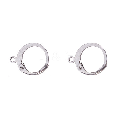 Tarnish Resistant 304 Stainless Steel Leverback Earring Findings STAS-I045-02-1