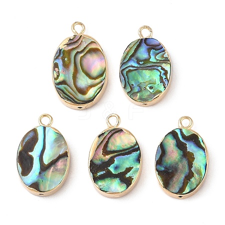 Natural Paua Shell Pendants SHEL-P017-17G-1